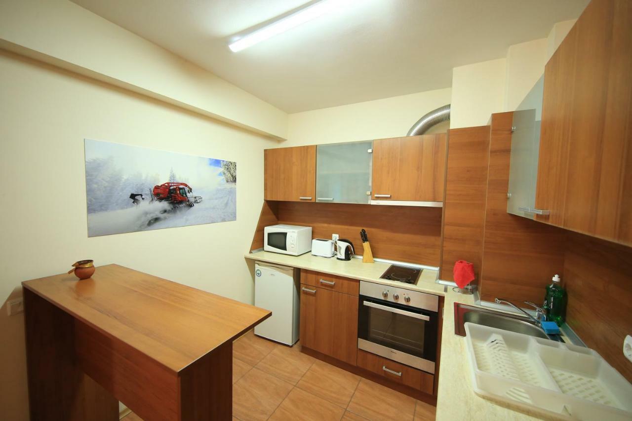 Nice And Quiet Apartment Next To Gondola Lift. バンスコ エクステリア 写真
